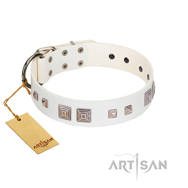 Stylish walking gentle to touch full grain natural leather dog collar