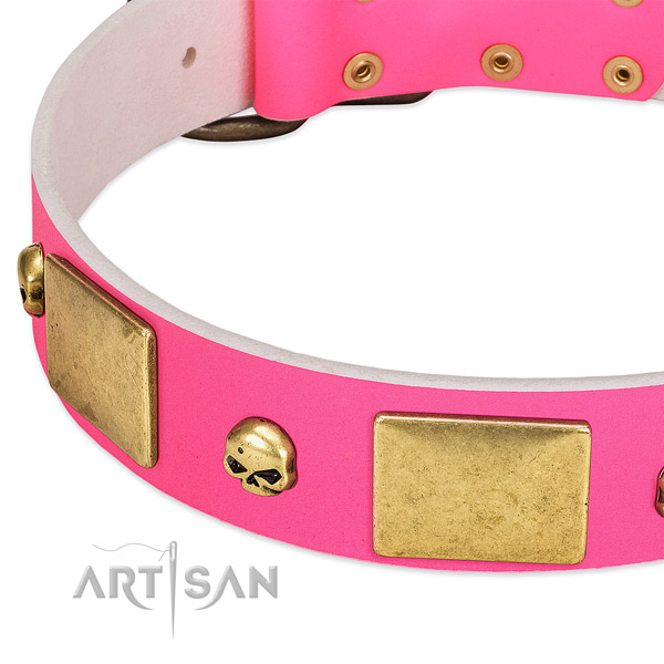 Strong full grain leather collar with corrosion resistant adornments for your pet