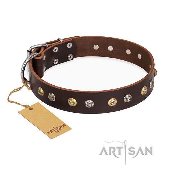 Basic training top notch dog collar with corrosion resistant hardware
