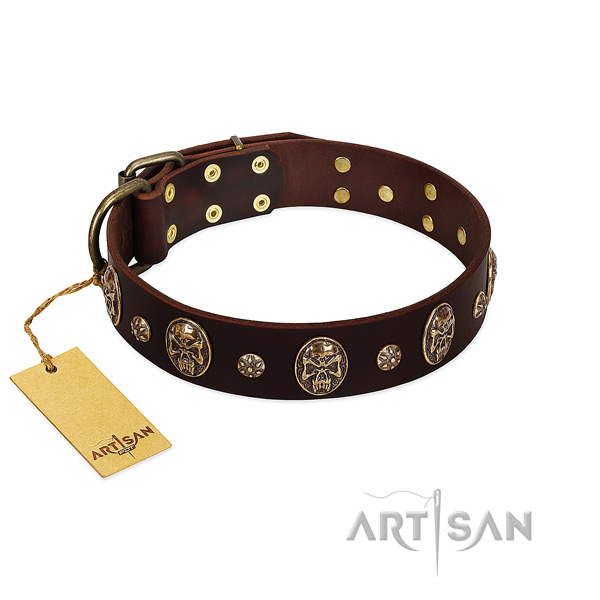 Significant genuine leather collar for your four-legged friend