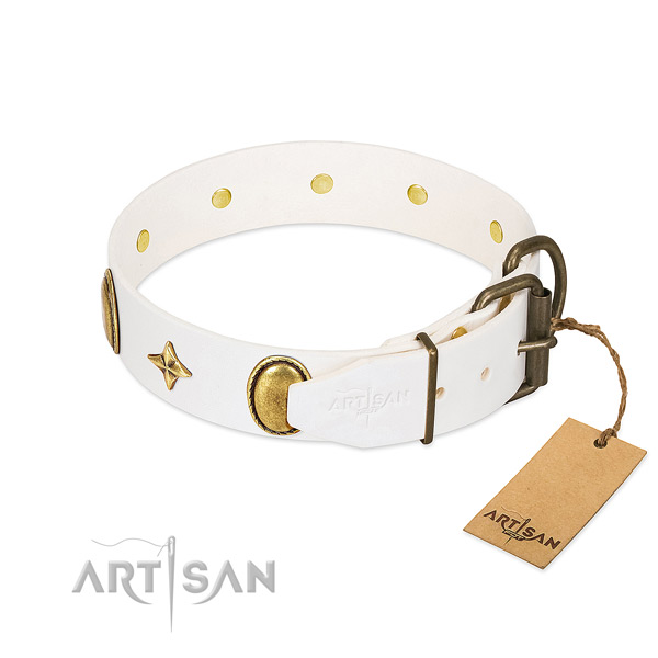 Gentle to touch full grain genuine leather dog collar with unique studs