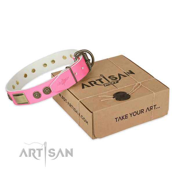 Corrosion proof embellishments on dog collar for stylish walking