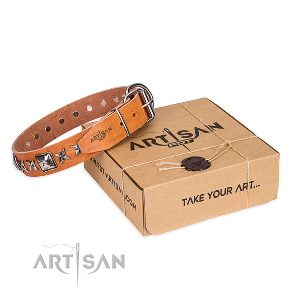 Stylish walking full grain natural leather dog collar with decorations