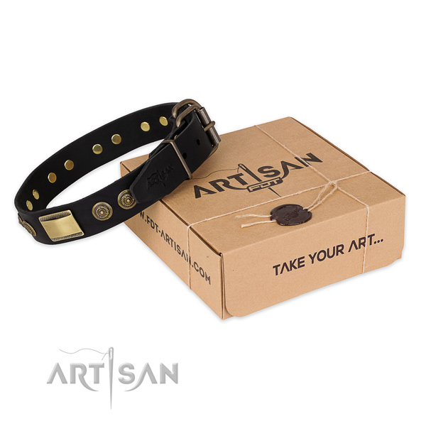 Strong traditional buckle on natural genuine leather dog collar for handy use