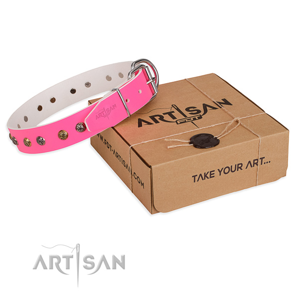 Daily use dog collar with Inimitable reliable embellishments