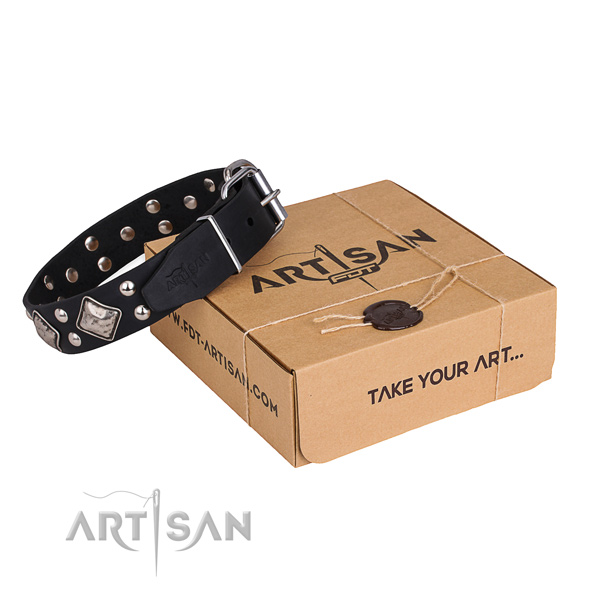 Daily use dog collar with Inimitable reliable embellishments
