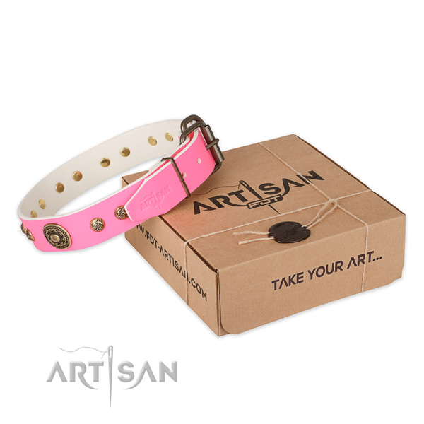 Corrosion proof traditional buckle on leather dog collar for handy use