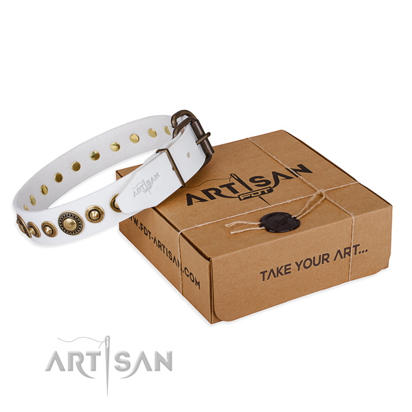 Soft full grain genuine leather dog collar made for daily walking