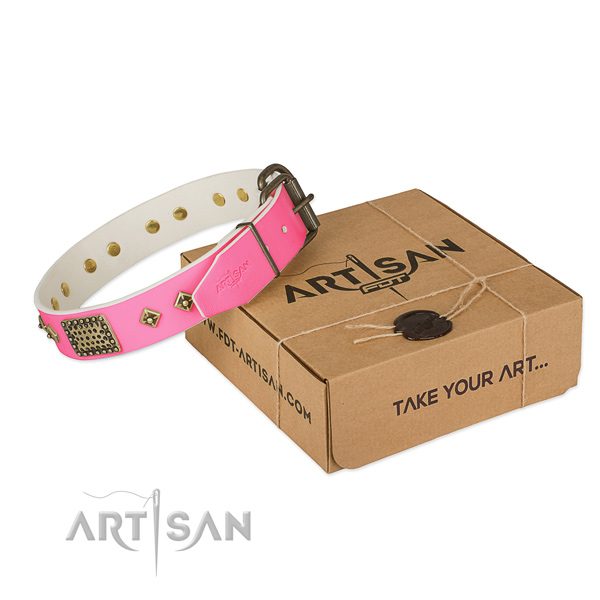 Corrosion resistant fittings on dog collar for daily walking