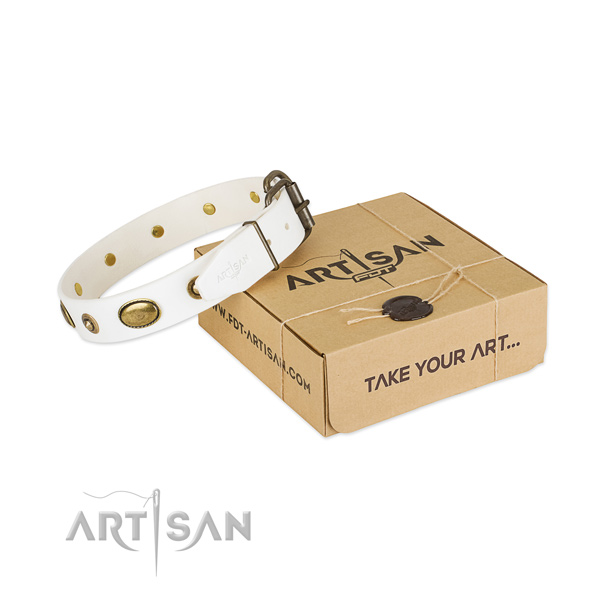 Remarkable leather collar for your attractive pet