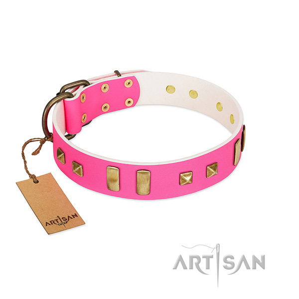Corrosion proof fittings on dog collar for comfortable wearing