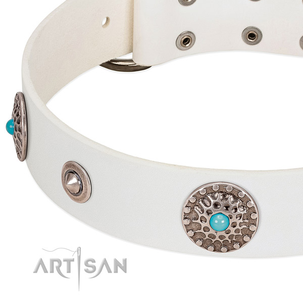 Soft leather dog collar with strong hardware