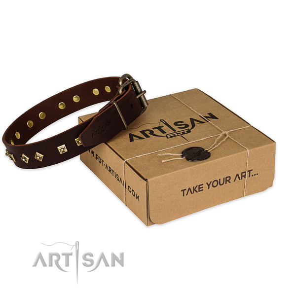 Corrosion resistant buckle on full grain leather dog collar for stylish walking