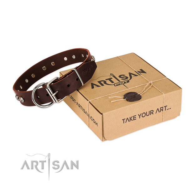 Corrosion proof traditional buckle on dog collar for everyday walking