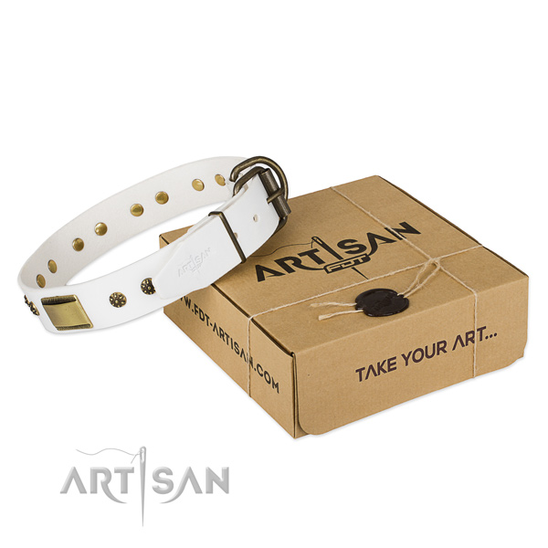 Stunning natural genuine leather collar for your stylish four-legged friend