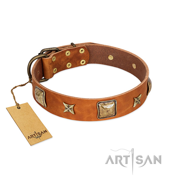 Fashionable genuine leather collar for your dog