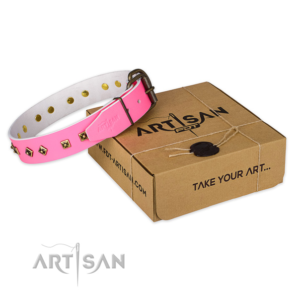 Corrosion resistant buckle on full grain leather dog collar for fancy walking