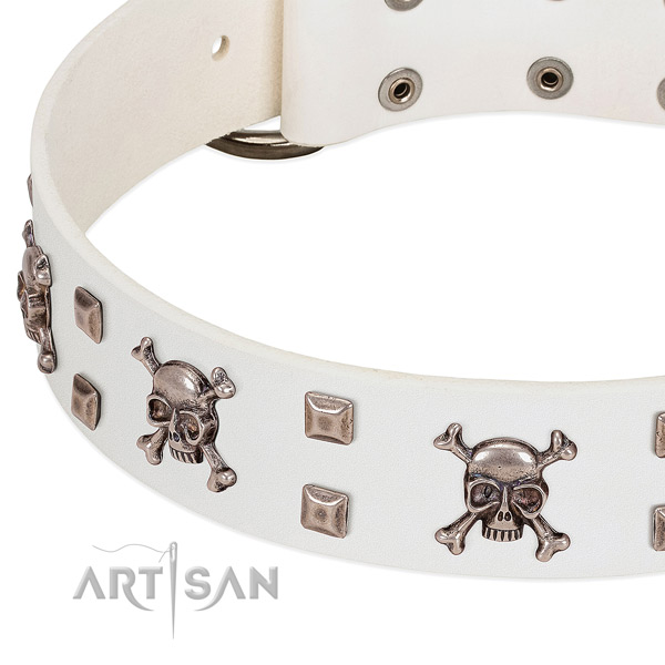 Inimitable genuine leather collar for your dog