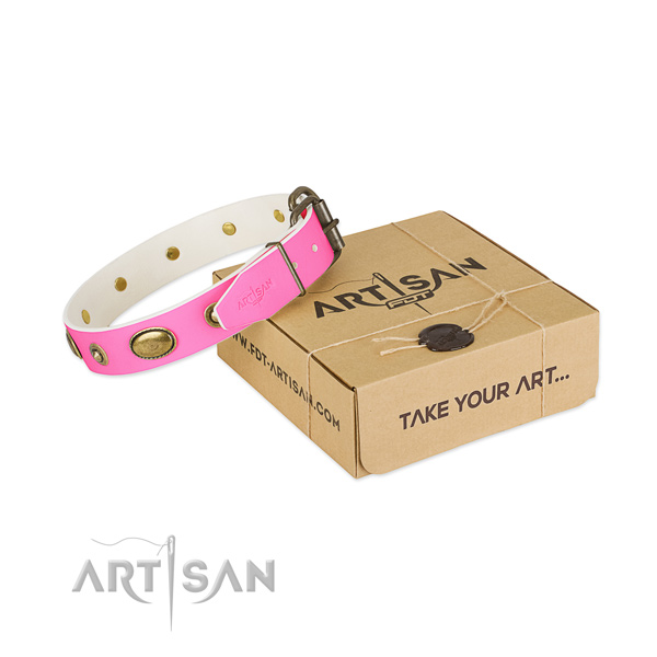 Top notch leather collar for your handsome doggie