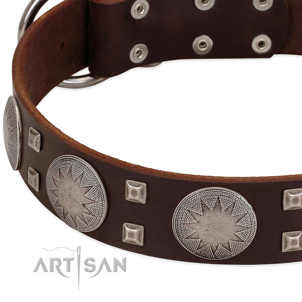 Everyday use leather dog collar