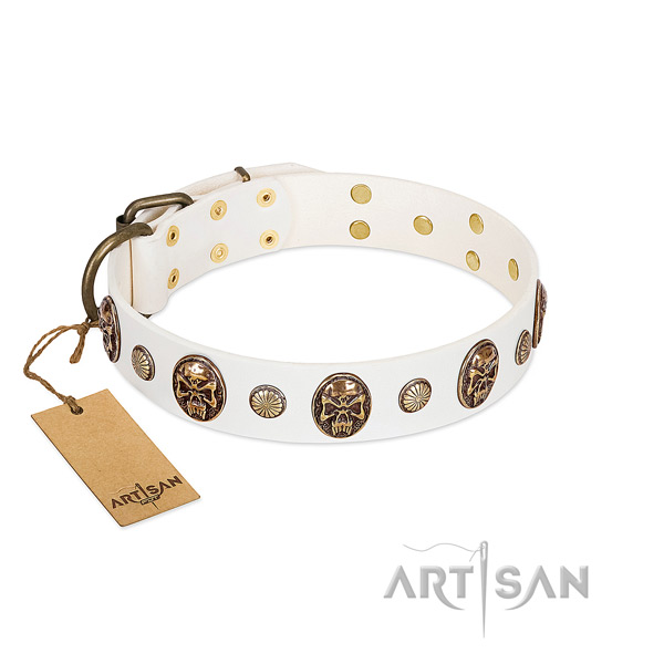 Impressive full grain leather dog collar for comfortable wearing