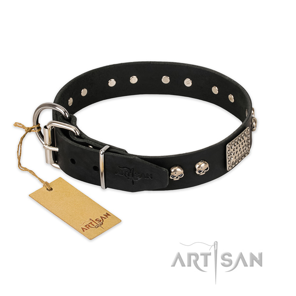 Reliable embellishments on everyday walking dog collar