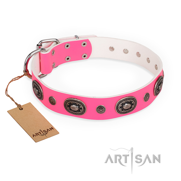 Quality full grain leather dog collar crafted for comfortable wearing