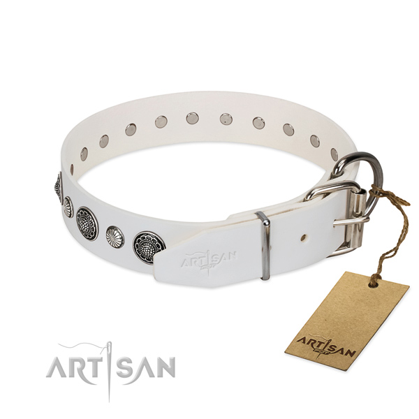 Reliable natural leather dog collar with corrosion resistant D-ring