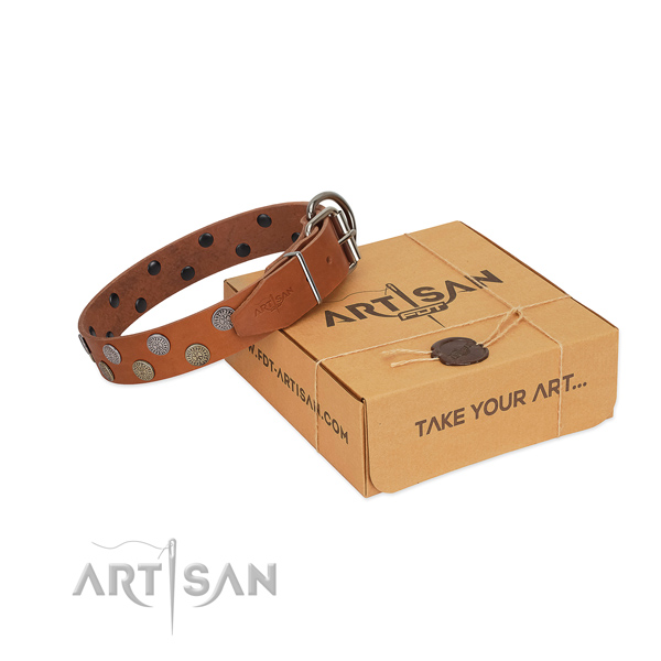 Extraordinary decorated leather dog collar for walking