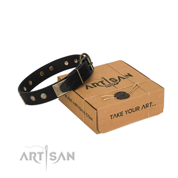 Durable traditional buckle on dog collar for daily walking