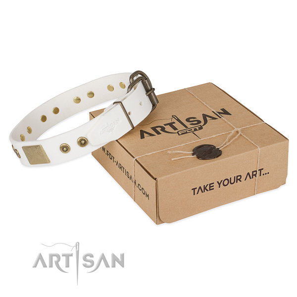 Significant natural leather collar for your stylish doggie