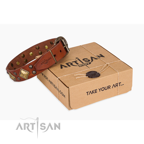 Easy wearing dog collar with Inimitable rust-proof studs