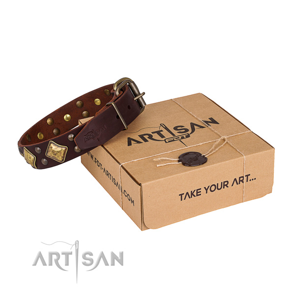 Basic training dog collar with Impressive rust-proof studs