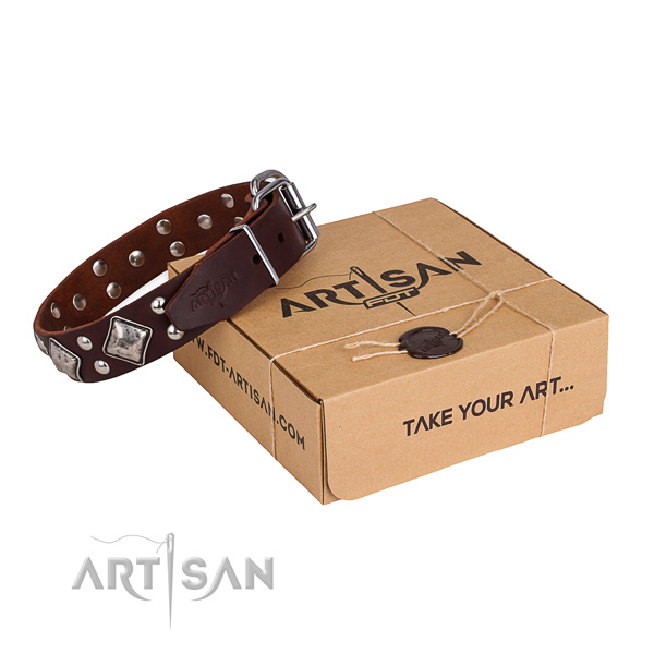 Daily walking dog collar with Extraordinary reliable embellishments