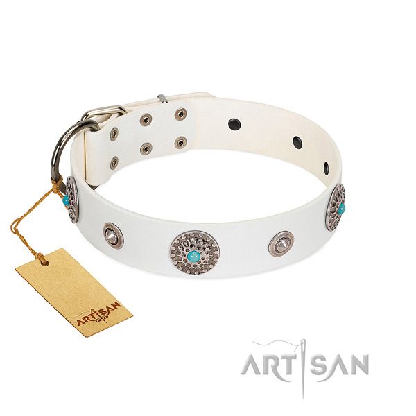 Soft to touch full grain leather dog collar created for your canine