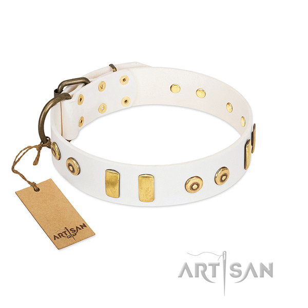 Leather dog collar with trendy studs for walking