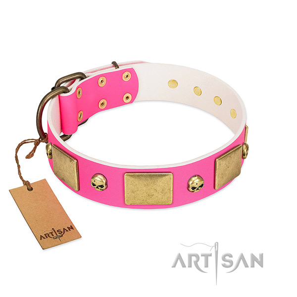Reliable full grain natural leather collar with rust resistant decorations for your canine