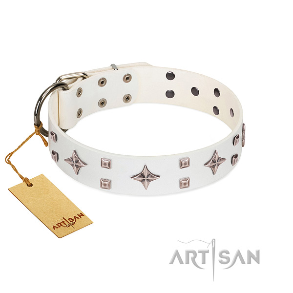 Awesome leather collar for your dog walking