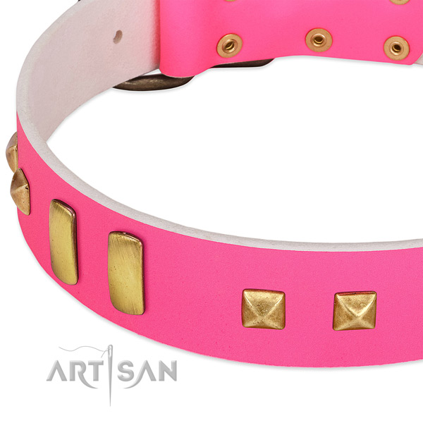 Easy wearing genuine leather collar for your attractive doggie