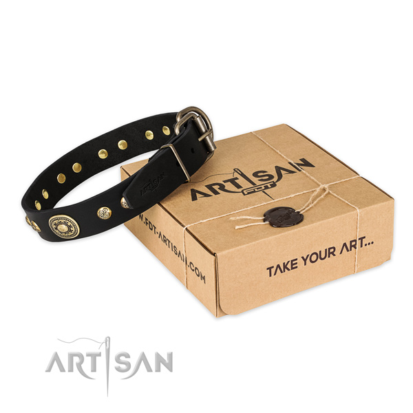 Strong buckle on genuine leather dog collar for daily walking