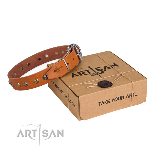 Basic training dog collar with Trendy reliable adornments
