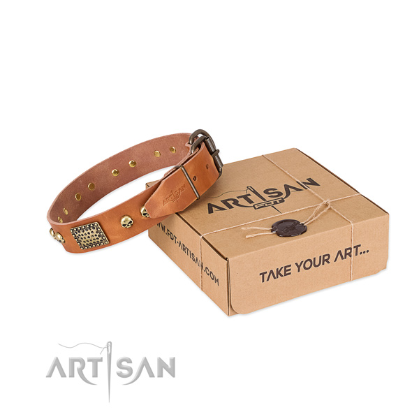 Reliable adornments on dog collar for daily walking
