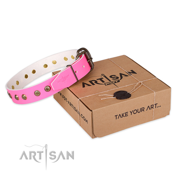 Corrosion resistant hardware on natural genuine leather collar for your beautiful four-legged friend