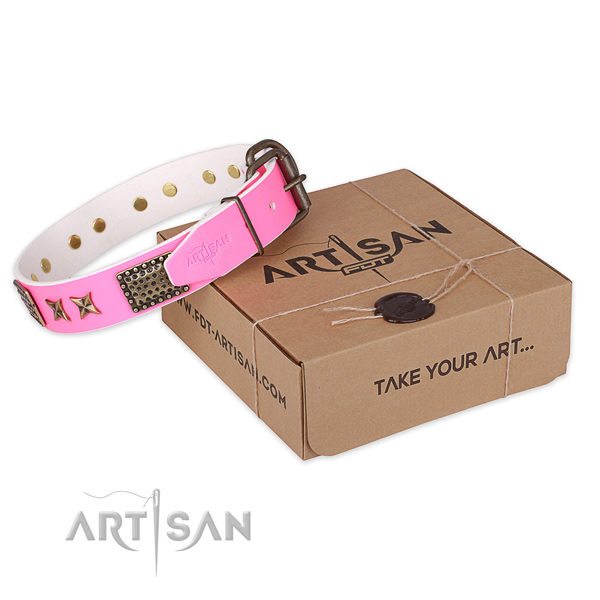 Durable traditional buckle on leather collar for your stylish pet