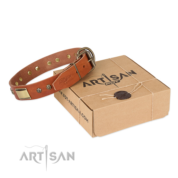 Fine quality leather collar for your impressive doggie