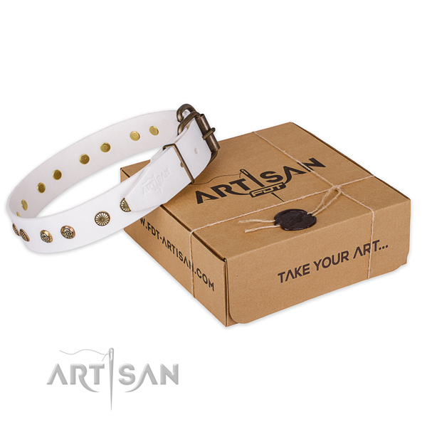 Rust-proof D-ring on full grain genuine leather collar for your lovely dog