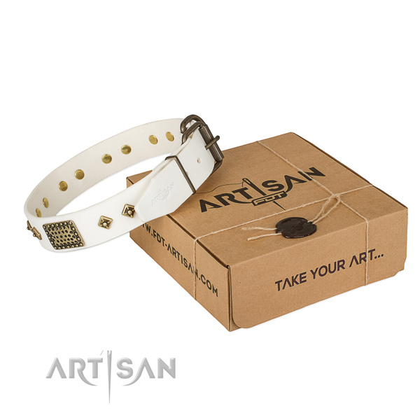 Awesome genuine leather collar for your stylish canine