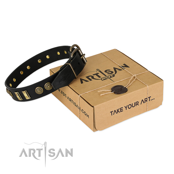 Corrosion proof buckle on full grain leather dog collar for your four-legged friend