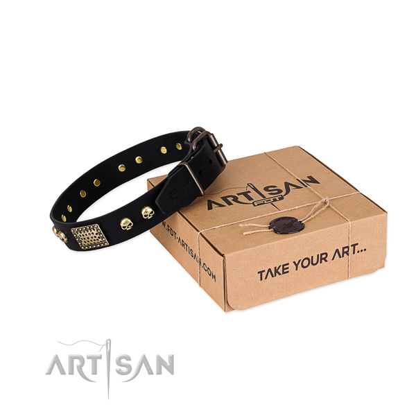 Rust resistant embellishments on dog collar for comfy wearing