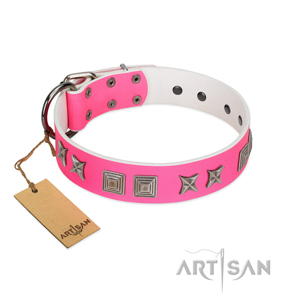 Natural leather dog collar with stunning studs handcrafted dog